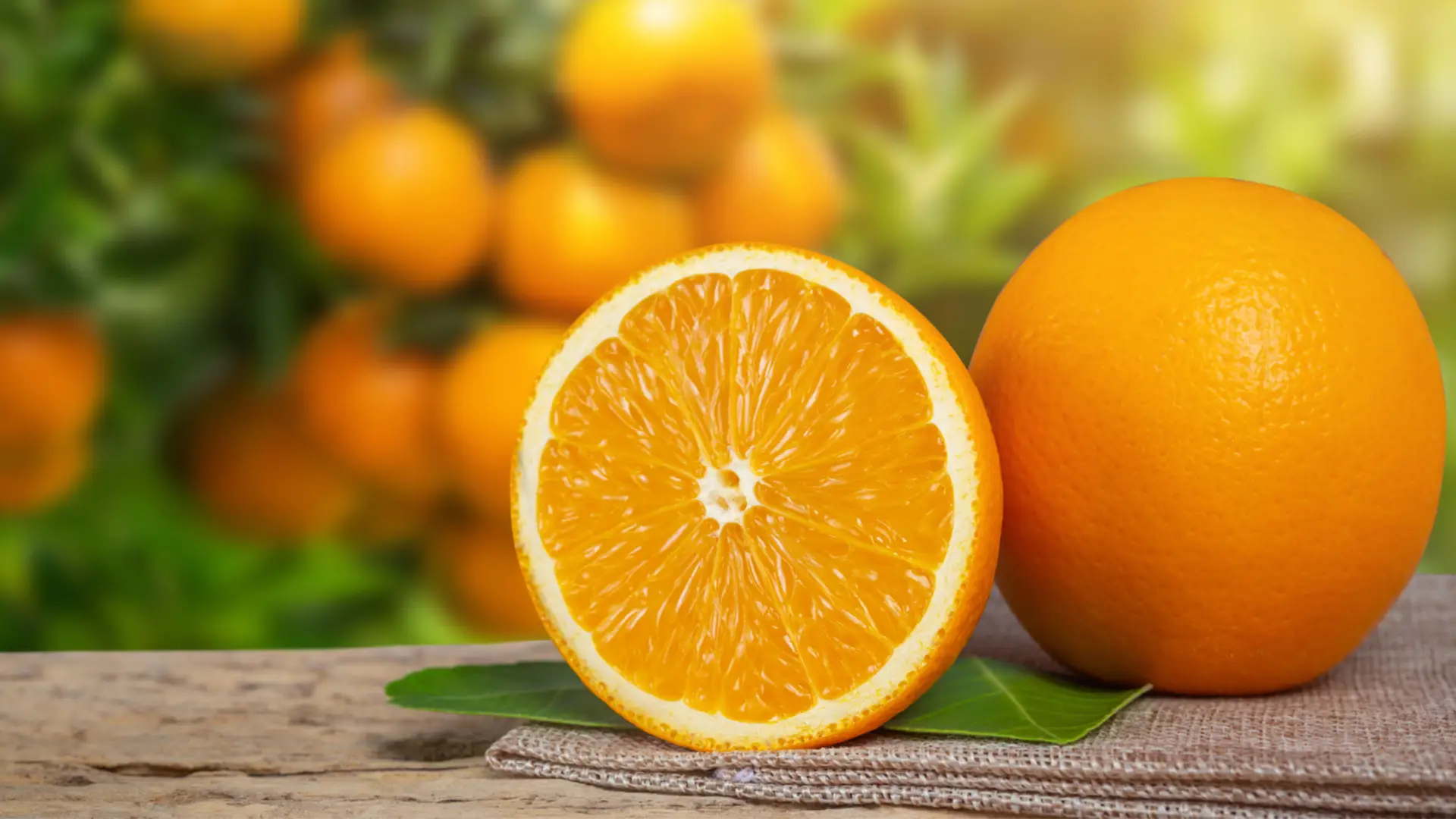 Conservation des Oranges : Astuces Puissantes à Connaître