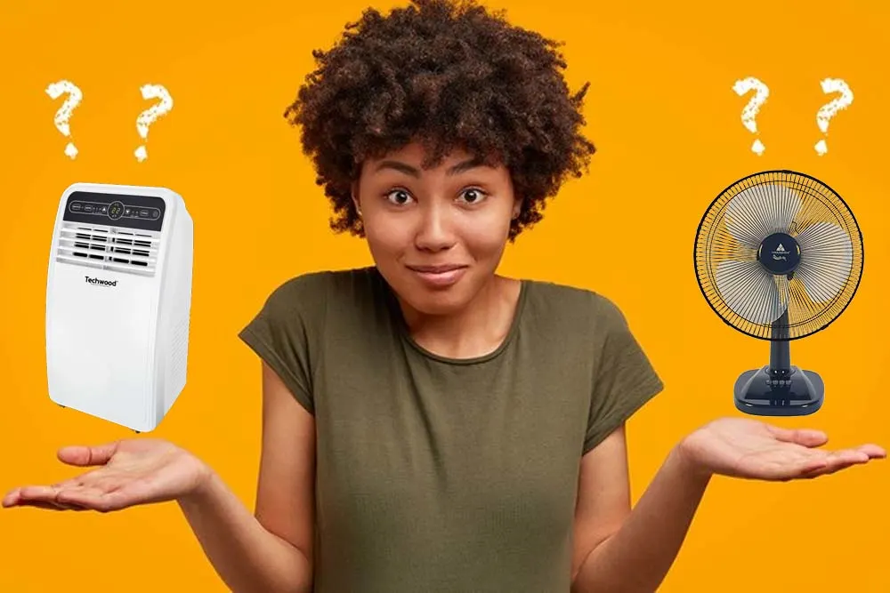 climatiseur mobile ou ventilateur